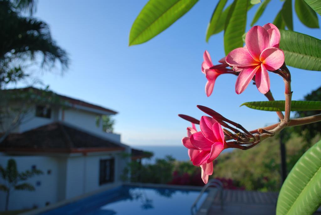 Отель Casa Frangipani Монтесума Экстерьер фото